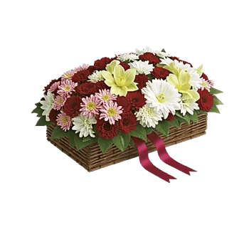Delicate Petal Cascade