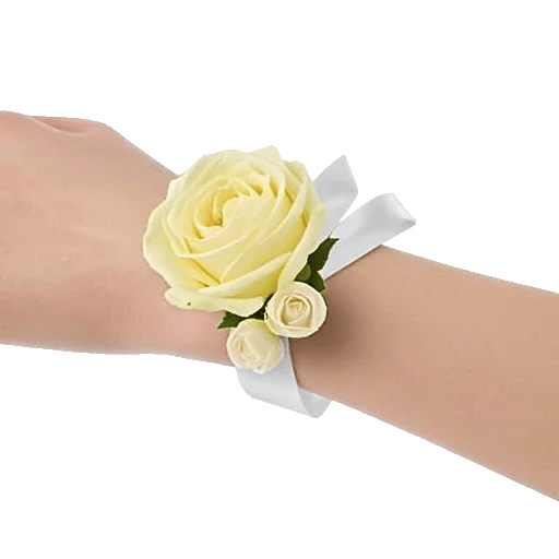 Blushing Rose Symphony