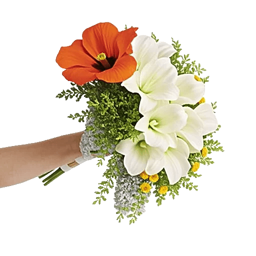 Ivory Blossom Radiance