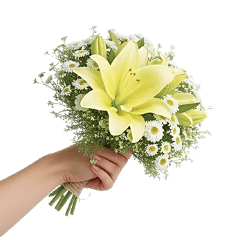 Blossom Harmony Display