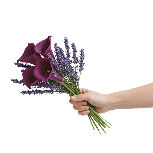 Elegant Calla Lilies