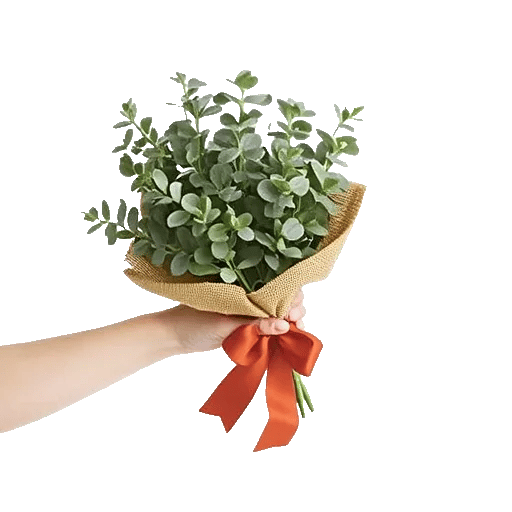 Emerald Leaf Harmony