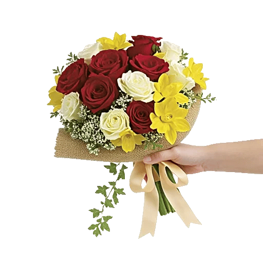 Crimson Rose Elegance