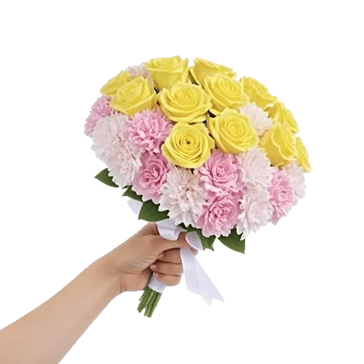 Pastel Pink Roses