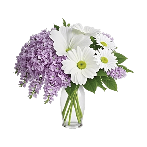 Ivory Blossom Radiance