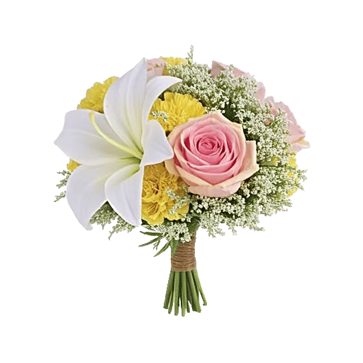 Blossom Petal Serenity