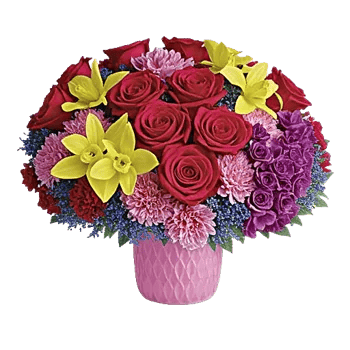 Radiant Rose Symphony