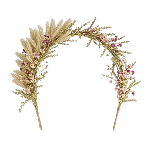 Modern White Orchids