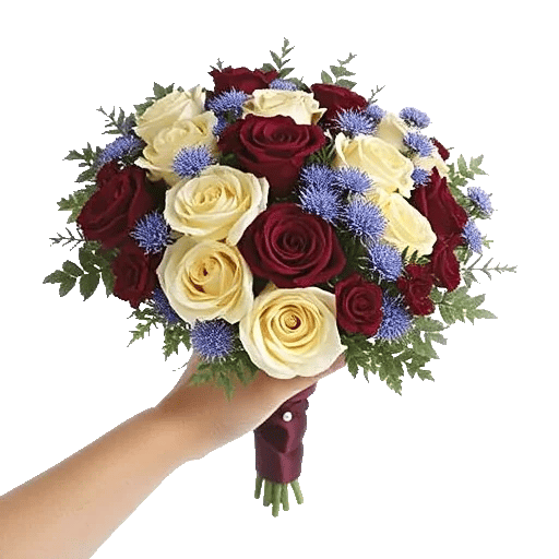 Crimson Rose Elegance