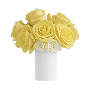 Radiant Rose Symphony