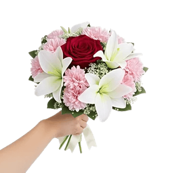 Crimson Rose Elegance