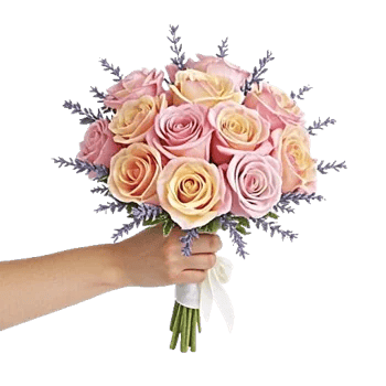 Pastel Pink Roses