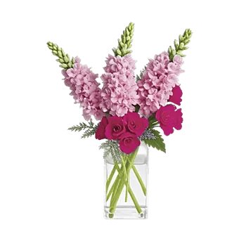 Delicate Petal Cascade