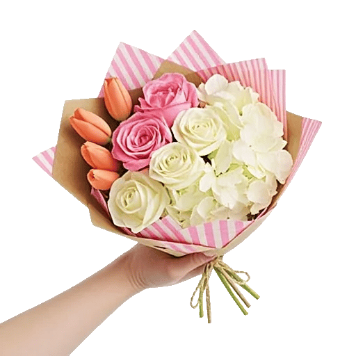 Blossom Harmony Display