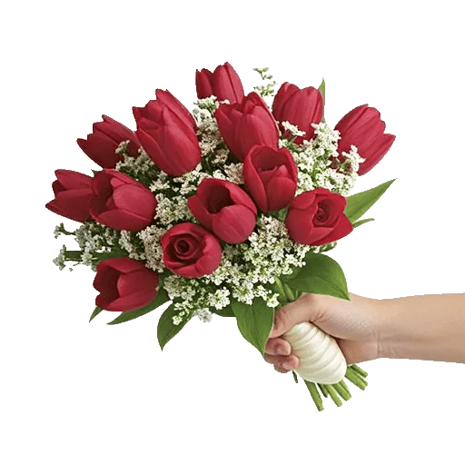 Scarlet Tulip Splendor