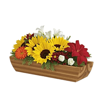 Amber Sunflower Glow