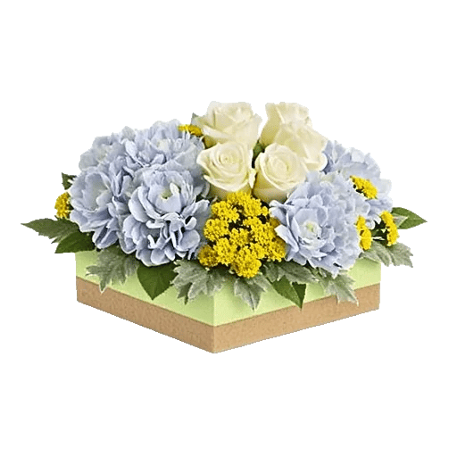 Sapphire Bloom Whisper