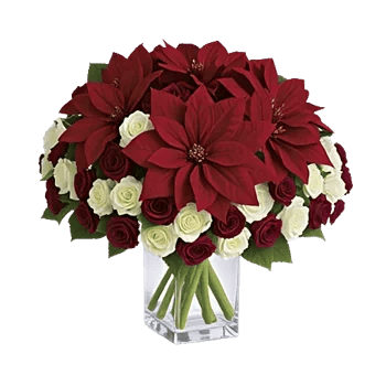 Petal Radiance Bliss