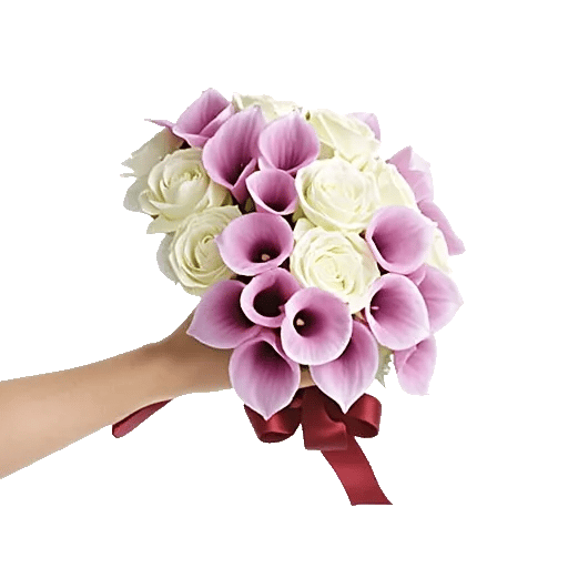 Elegant Calla Lilies