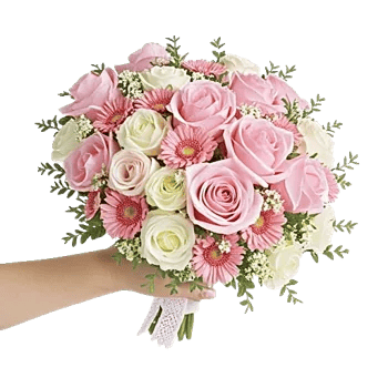 Pastel Pink Roses
