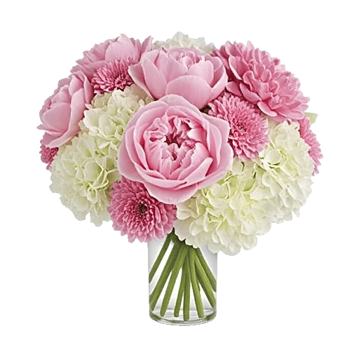 Petal Radiance Bliss
