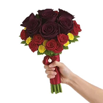 Crimson Rose Elegance