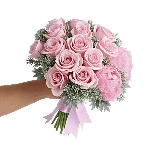Pastel Pink Roses