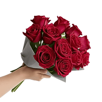 Crimson Rose Elegance
