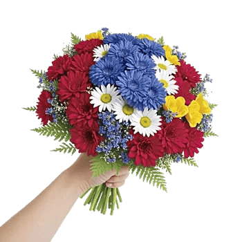 Blossom Petal Serenity