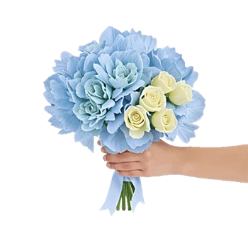 Serene Petal Harmony