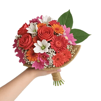 Coral Blossom Harmony