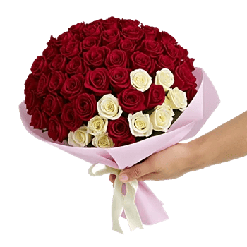 Crimson Rose Elegance