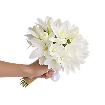 Modern White Orchids