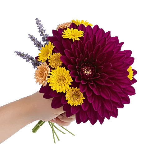 Crimson Blossom Harmony