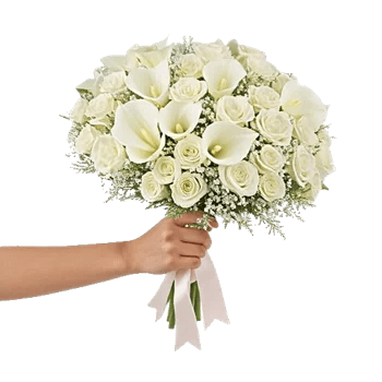 Elegant Calla Lilies