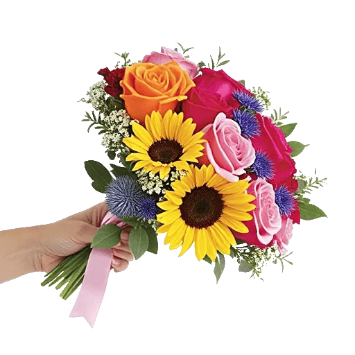 Petal Harmony Bliss