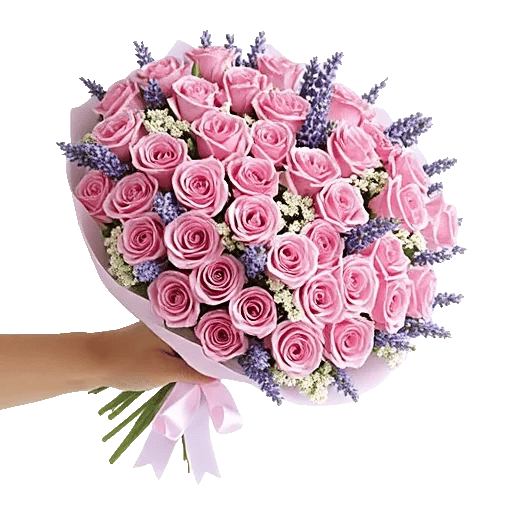 Pastel Pink Roses