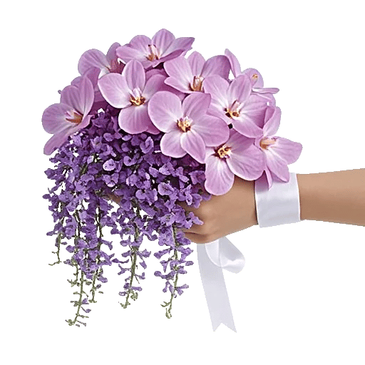 Orchid Bloom Cascade