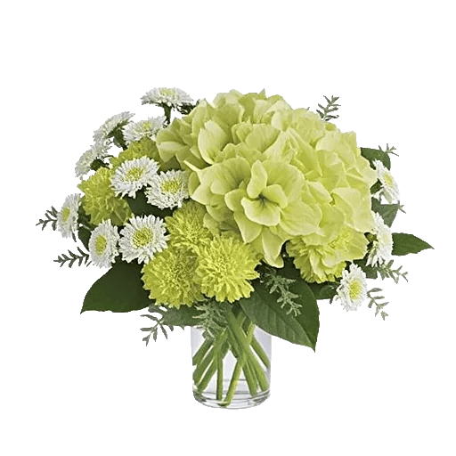 Emerald Bloom Cascade