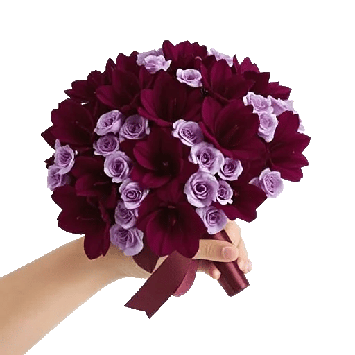 Petal Softness Display