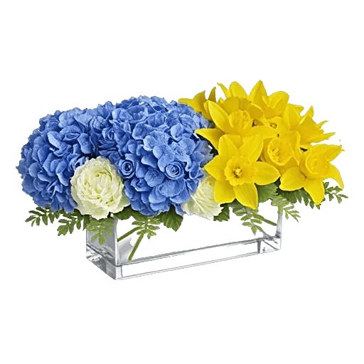 Sapphire Bloom Whisper