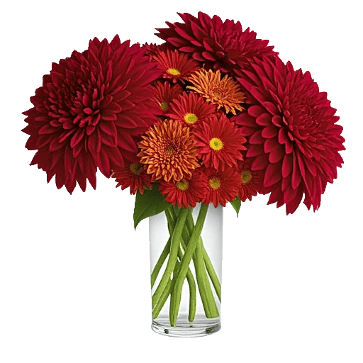 Crimson Blossom Harmony