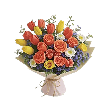 Coral Blossom Harmony