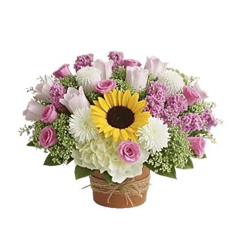 Amber Sunflower Glow