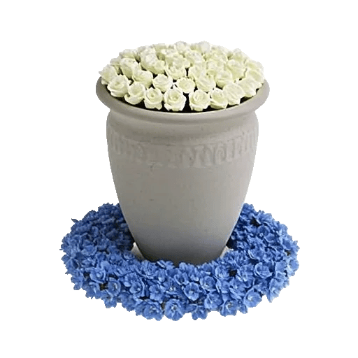 Elegant Blue Roses