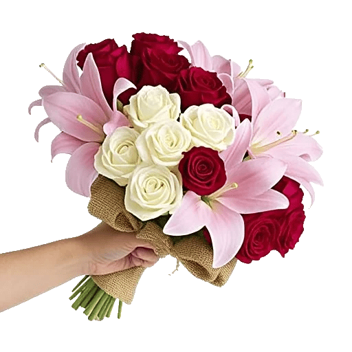 Blushing Rose Symphony