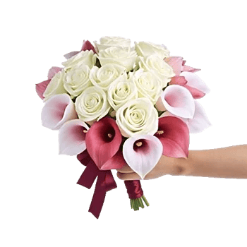 Elegant Calla Lilies