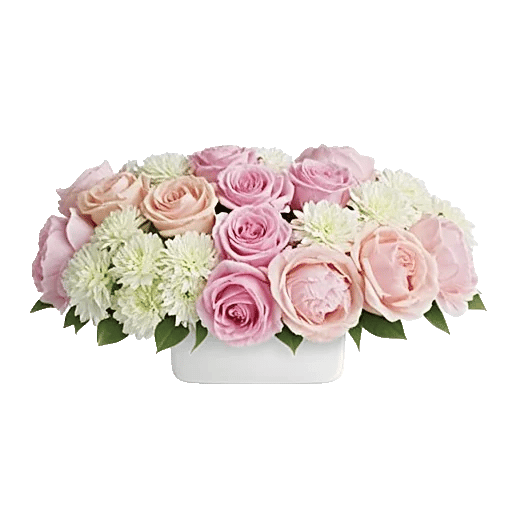 Delicate Petal Cascade