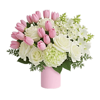 Velvet Tulip Display