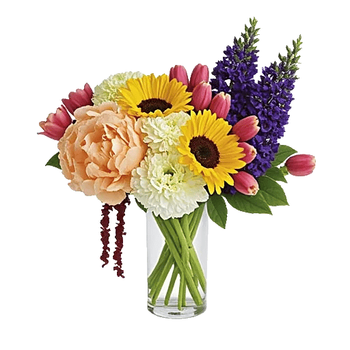 Petal Radiance Bliss